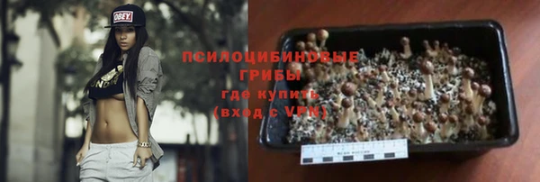 крисы Баксан