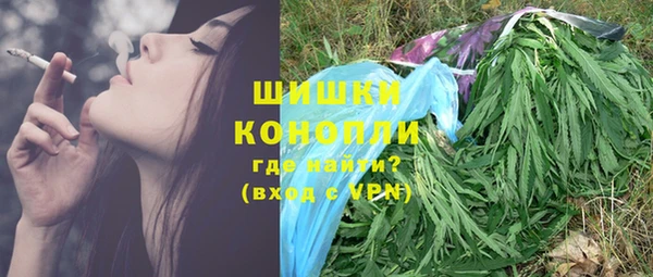 крисы Баксан