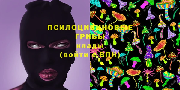 гидра Балахна