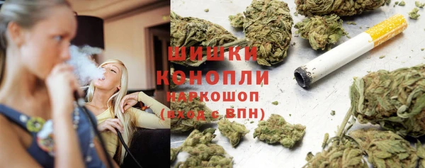 крисы Баксан