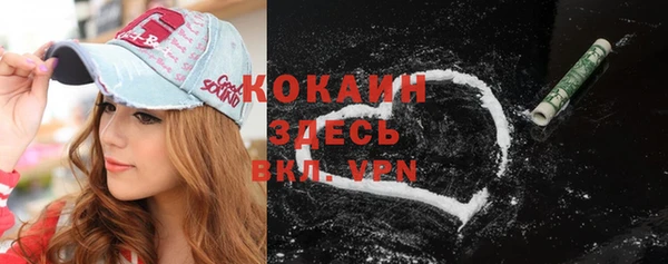 крисы Баксан