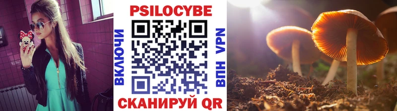 Псилоцибиновые грибы Cubensis  kraken tor  Куса 